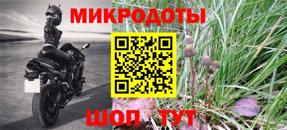 Гусев  Псилоцибиновые грибы мухоморы  Вход с VPN 