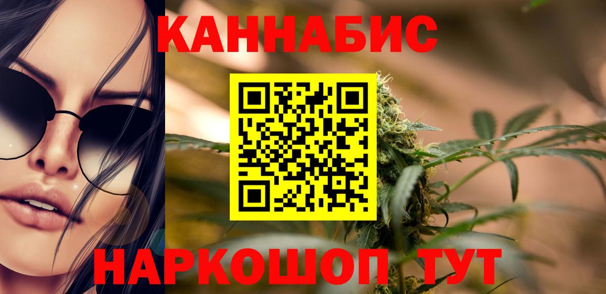 Конопля гибрид Гусев